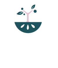 因果茶